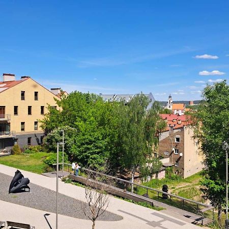 Apartment Vilnius Old Town エクステリア 写真
